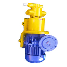 Direct Selling High-Performance Standard Parts Stainless Steel Paste Gear Pump Magnetic Gear Pump